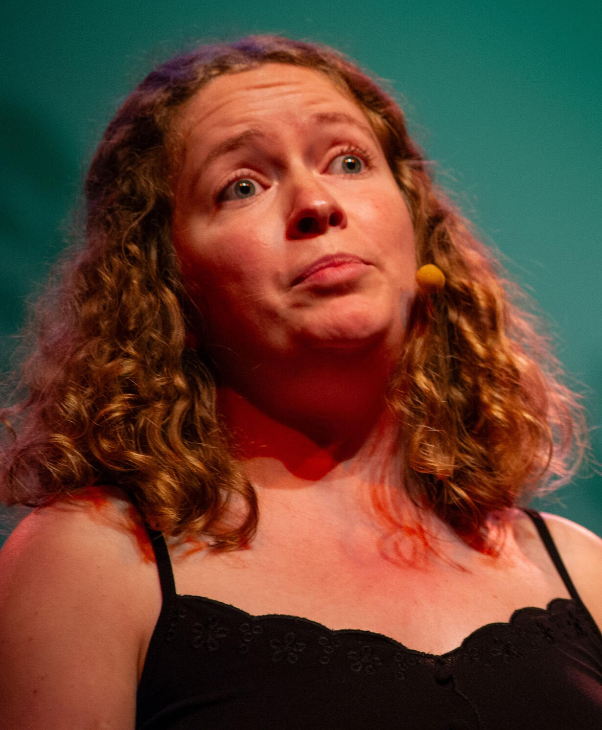 affiche contes monts d'arrée